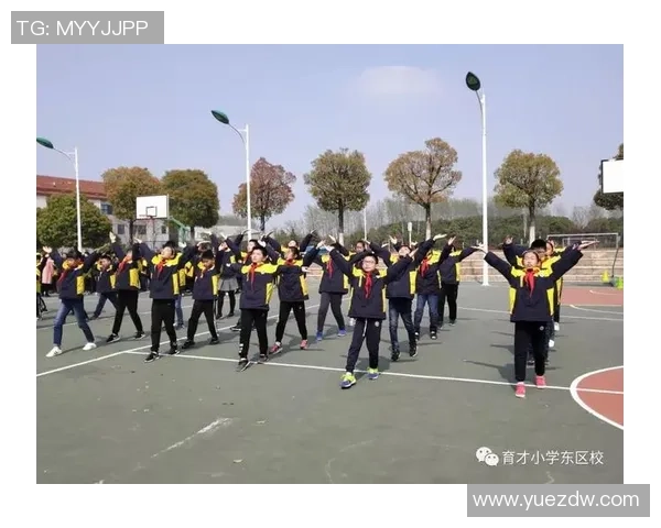 五棵松篮球场最佳观赛位置选择指南助你轻松享受比赛乐趣